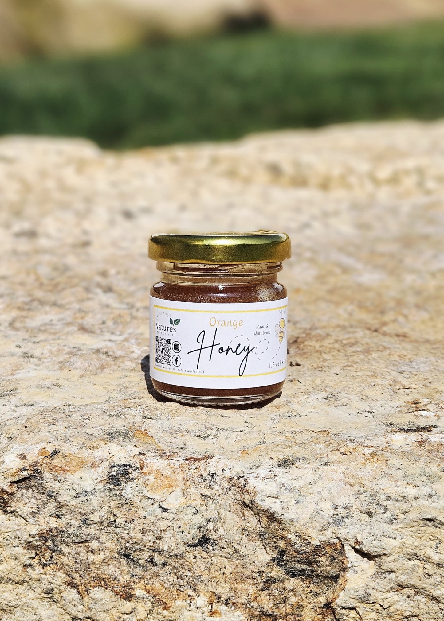 Fruity Honey Gift Box (Raw & Unfiltered)