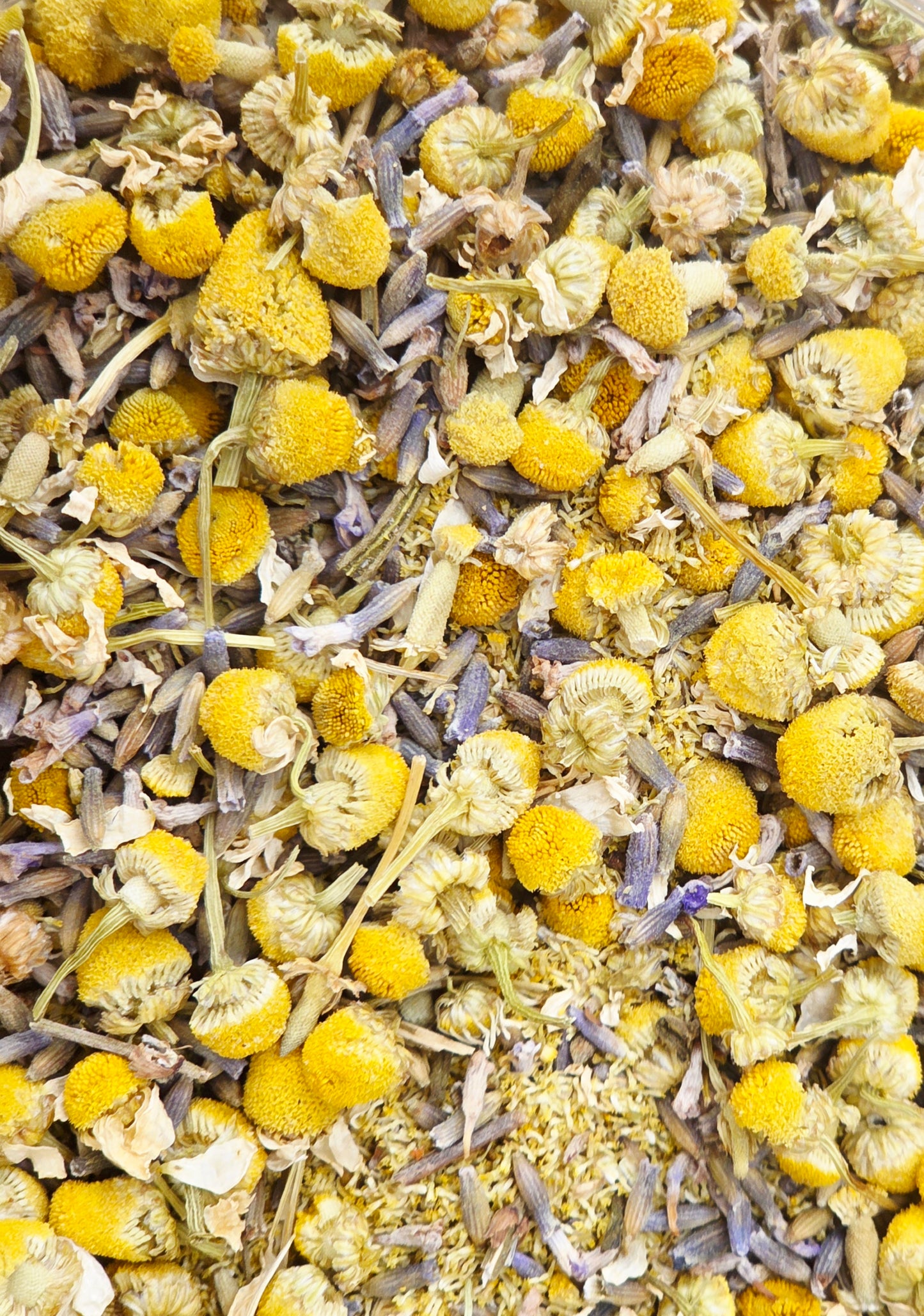 Organic Chamomile (& Lavender) Tea