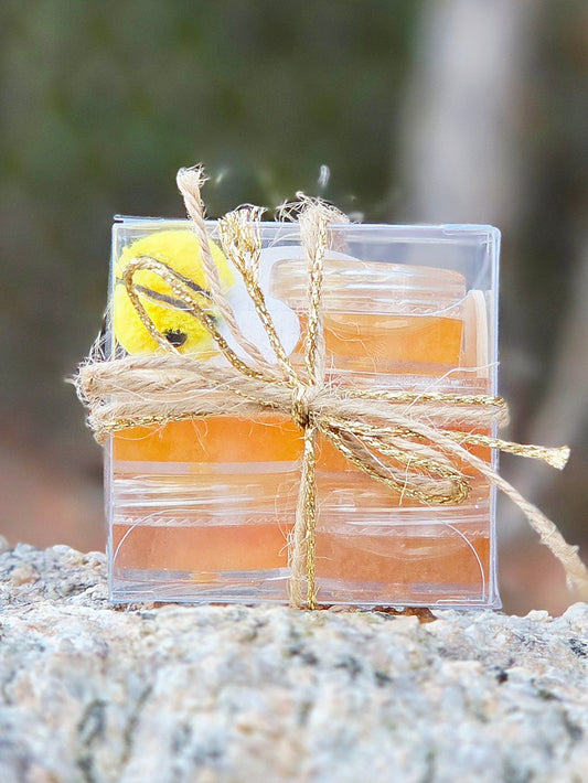 Blueberry Mini Honey Snacks (Raw & Unfiltered)