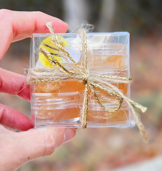 Blueberry Mini Honey Snacks (Raw & Unfiltered)